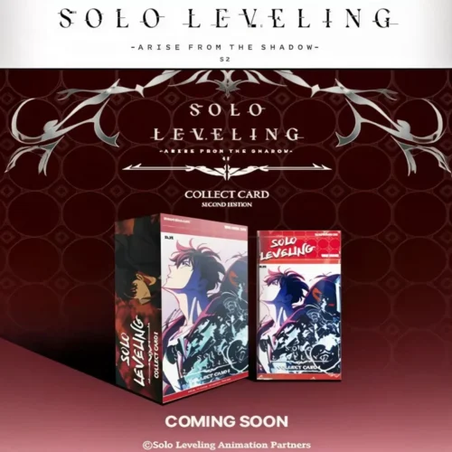 Display Solo Leveling SL2E