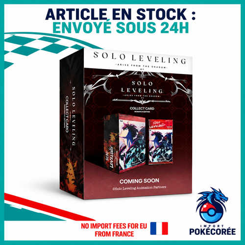 Display Solo Leveling SL2E Coréen